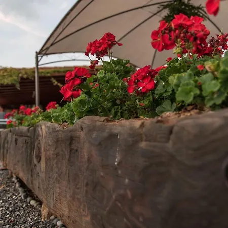 Casa Leandra Con Jacuzzi Country house