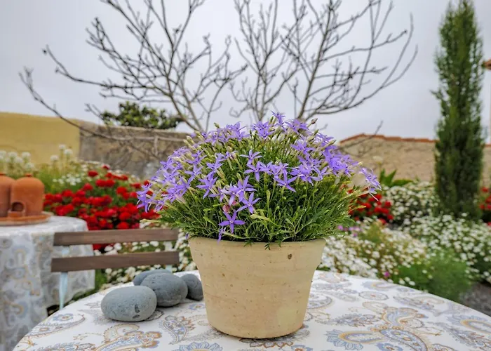 Hébergement de vacances Casa Leandra Con Jacuzzi *